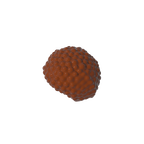 GDS-2154-081