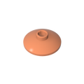 GDS-601-038